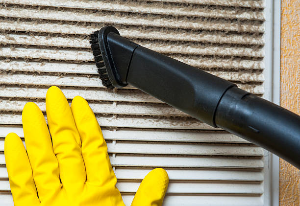 Best Air Duct Sanitization & Disinfection in Idaho Springs, CO